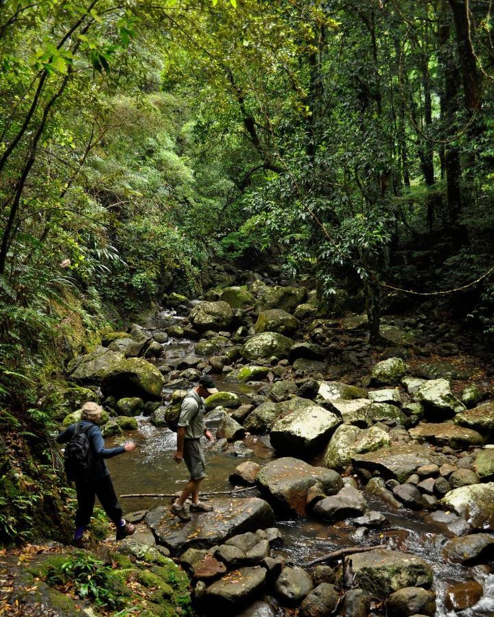 Binna Burra Sky Lodge
